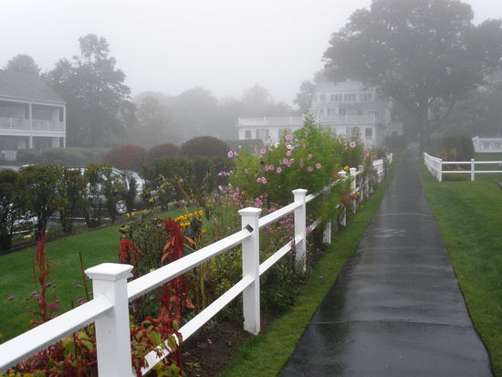 Morgenspazierung durch Regen und Nebel