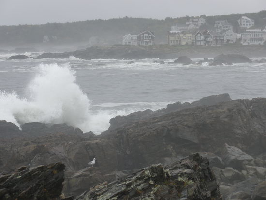 Das Dörfchen Perkins Cove