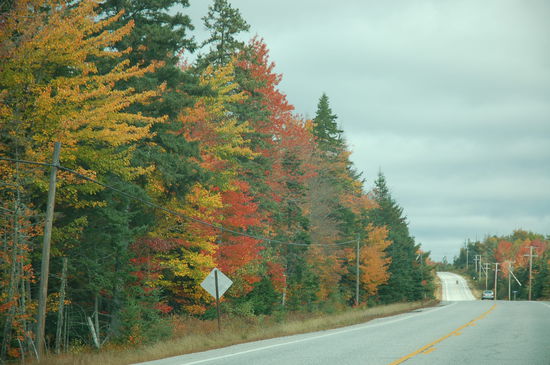 Wow... das ist ja eine Farbenpracht!