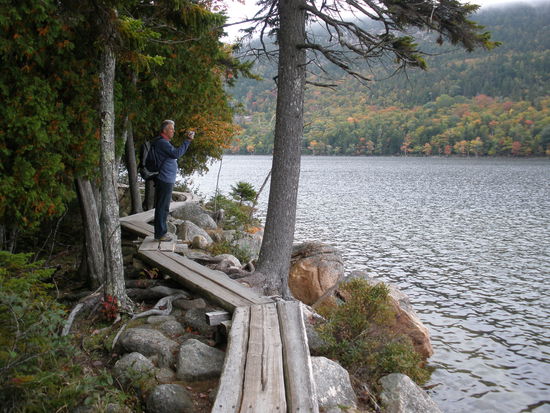 die Holzstege schützen die Vegetation