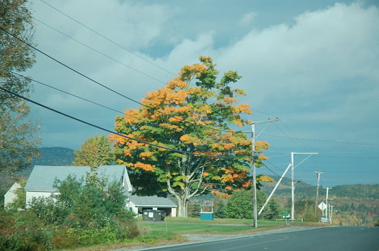 auf dem Weg nach Bangor