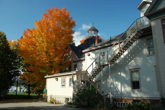 und was für ein schöner Baum im Hinterhof