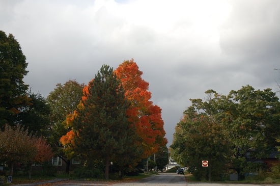 Ein Gewitter zieht heran...