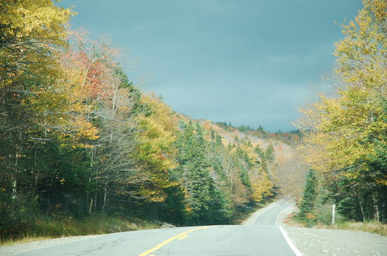 hier ist der herbstliche Höhepunkt schon vorbei