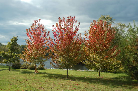 ein schöner Ort am Fluss