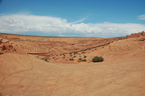 Wer würde hier ein solches Naturwunder vermuten?