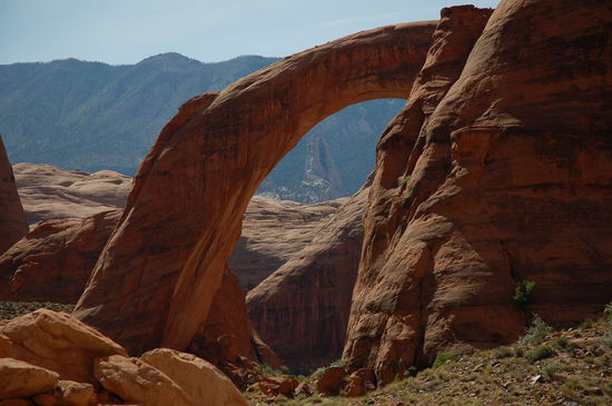 Was für ein Anblick!