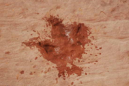 Ein Dinosaurier-Abdruck