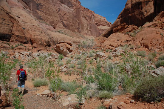 Es geht zurück zum Schiff