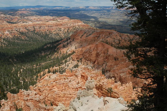 Endlich erblicken wir den Bryce Canyon