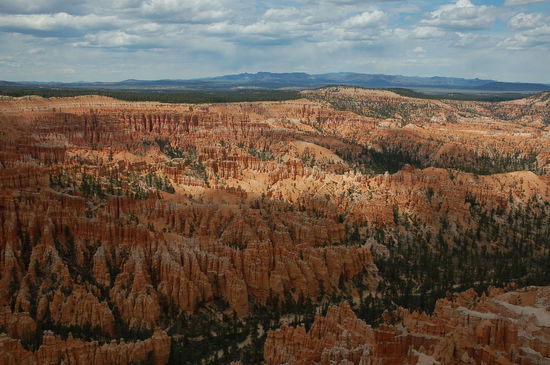 Der Blick ins Amphietheater ist schlicht Wahnsinn!
