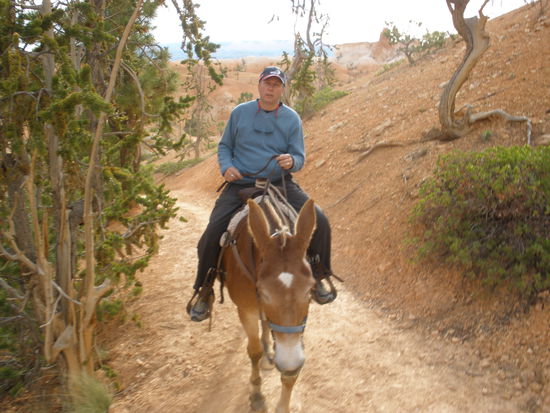 Mein Cowboy hält sich tapfer