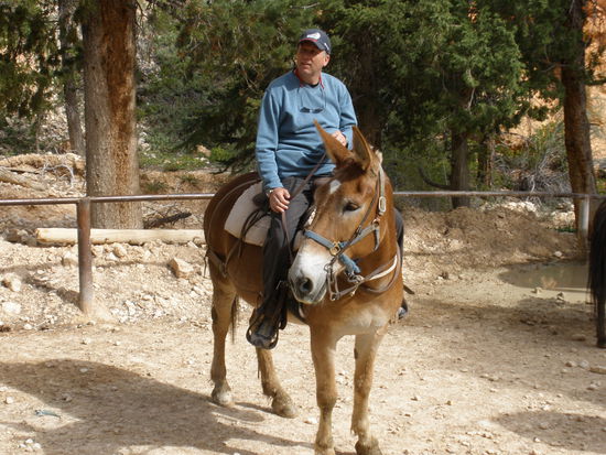 Jürg und seine Missis B. beim Zwischenhalt