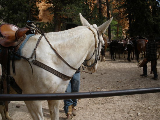 Und das ist meine neugierige Jessica