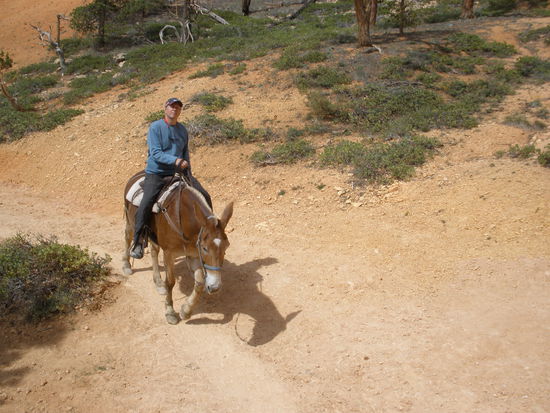 Schon bald ist es geschafft, Jürg!