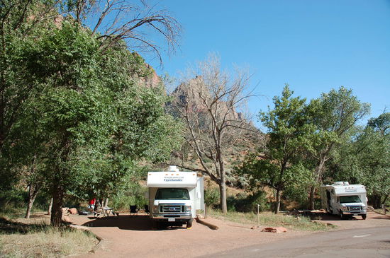Unsere beiden Strassenbären
