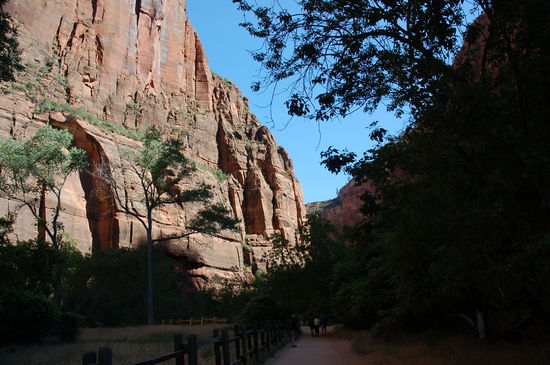 Wir wandern dem Virgin River entlang immer tiefer ins Tal