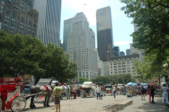 Am Rande des Central Parks