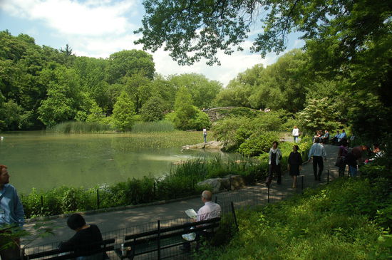Was für eine Oase: der Central Park