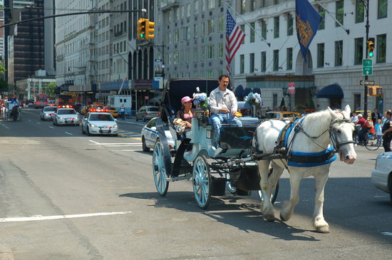 Und für diesen Polizei-Konvoi wird der Verkehr blockiert.