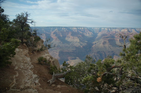 Die grösste und schönste Schlucht der Welt: der Grand Canyon
