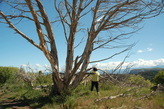 Und immer schön alles auf Bild bannen...