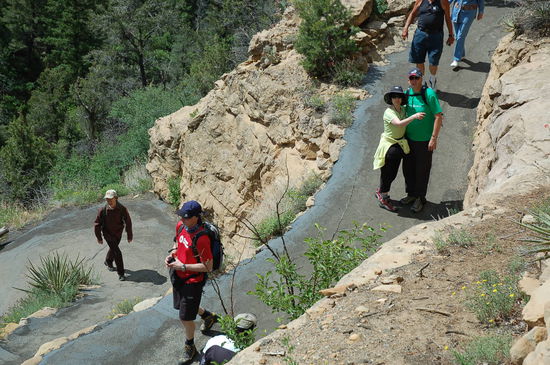 Wanderung hinunter zum Spruce Tree House