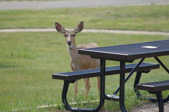 Hallo ... und wer bist Du?