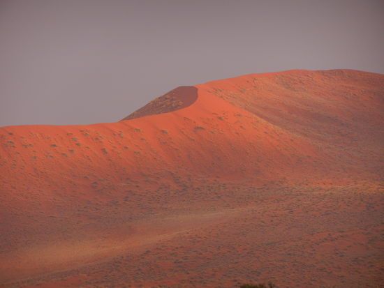 Wow, die Dünen werden immer höher und schöner!