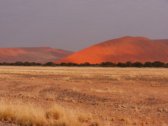 Ja Jürg ... schon wieder eine Düne...