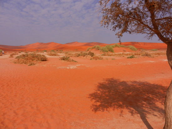 am Ende der befestigten Strasse
