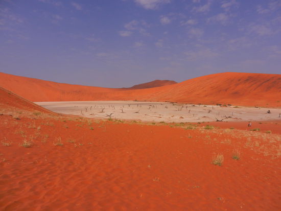 und das ist er: die grosse Salzpfanne namens Dead Vlei