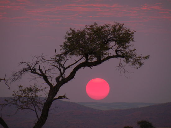 braucht es da noch Worte?