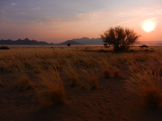 ein schöner Morgen!