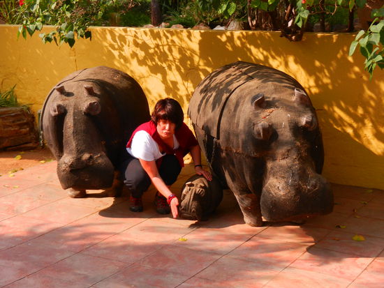 das wäre doch etwas für den Garten zuhause...