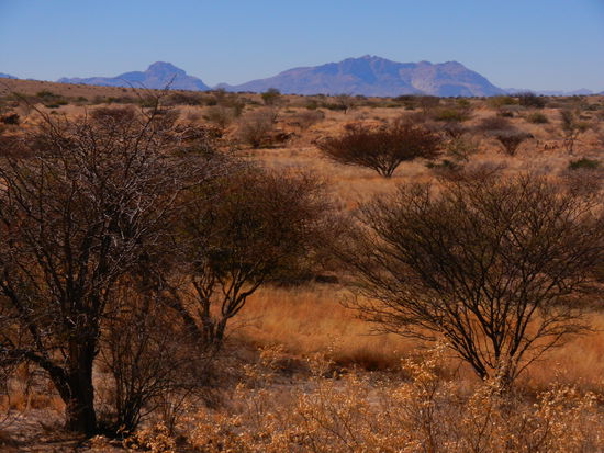 Währenddessen wir andern lieber den Ausblick auf faule Art geniessen