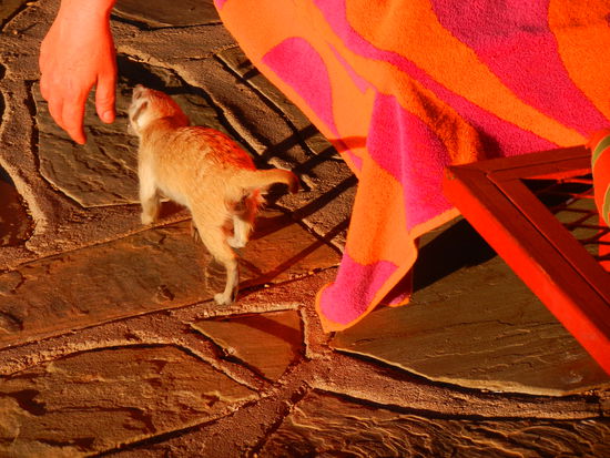 Rumblödeln mit Eva's Hand macht echt Spass...