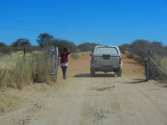Unser "Gatter"-Mädchen in Ausübung ihres Jobs