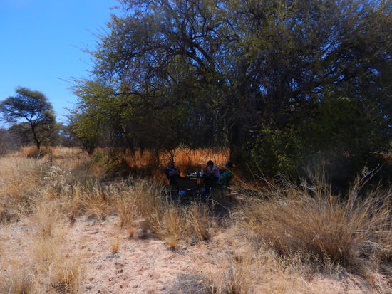 es ist heiss - da ist ein schattiges Plätzli fürs Mittagessen höchst willkommen