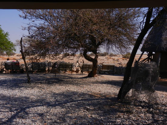 und nur Schritte entfernt ist das Wasserloch