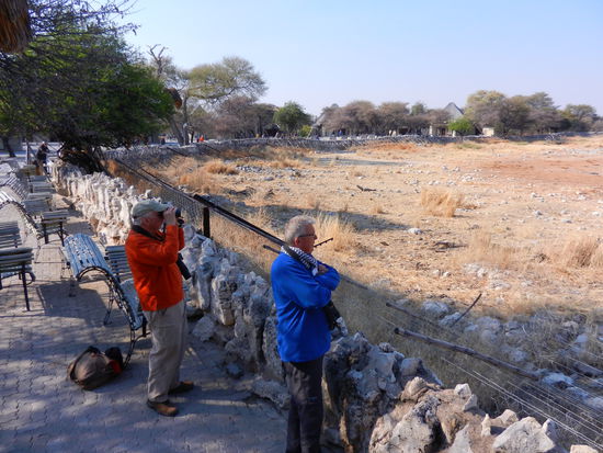 wir kriegen vom Anblick kaum genug...