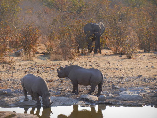 Oi ... Ärger im Anmarsch!