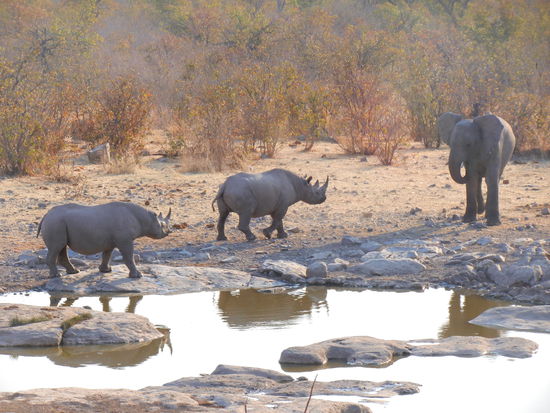 Na, dem Dicki wollen wir mal unsere Meinung geigen...