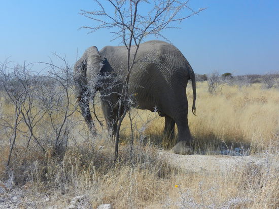 Puh ... er hat uns ignoriert 