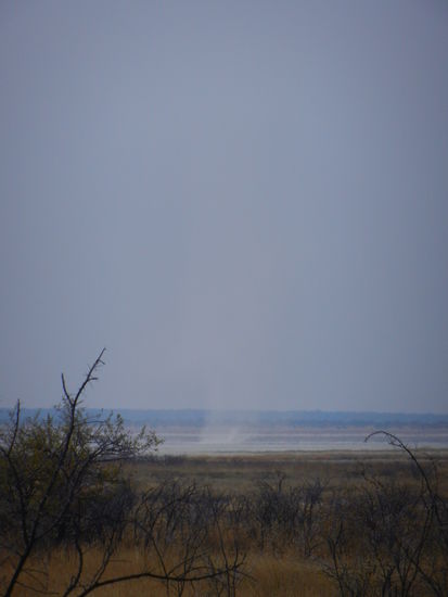 Staubtornados fegen über die Etosha Pfanne