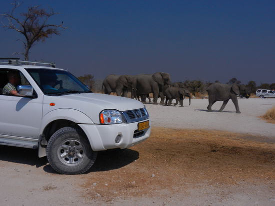 Doch er ist es nicht ... er hat seine ganze Familie im Schlepptau