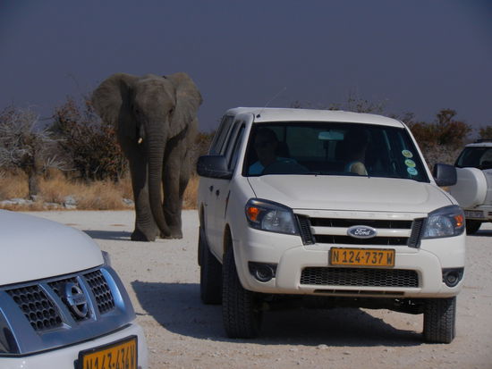 Oi ... das bedeutet nichts Gutes... 