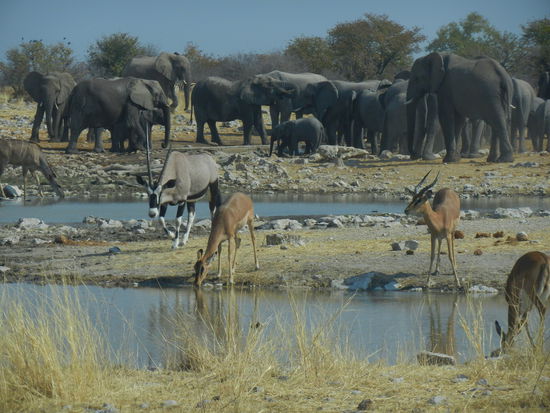 Bye bye Du wunderschöner Anblick...