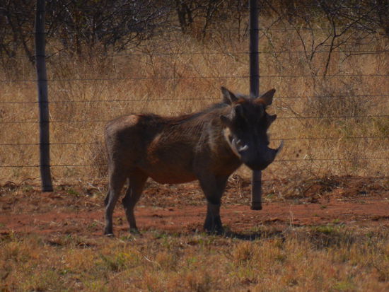 ... und das berechtigt!