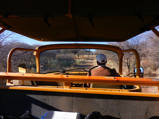 kreuz und quer fahren wir durch das Nashorn-Reservat